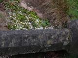 image of grave number 913528